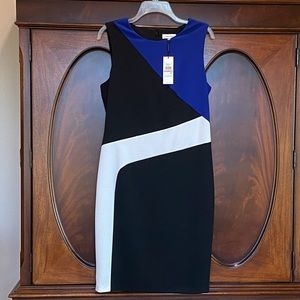 NEW Calvin Klein Royal Blue/Black/White Dress (12)